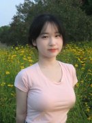 取保守的汽车制制